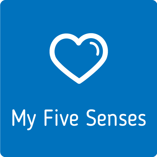 My Five Senses